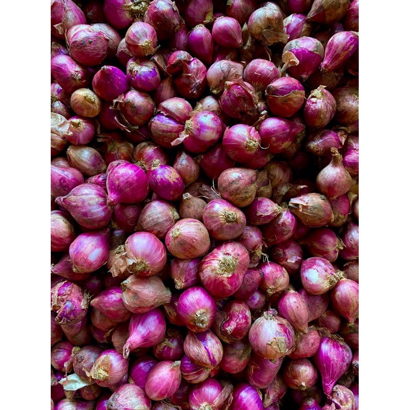 

BAWANG MERAH SUPER 500g termurah dan berkualitas