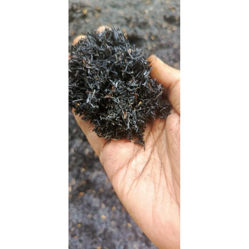 Sekam Bakar Karung 10kg