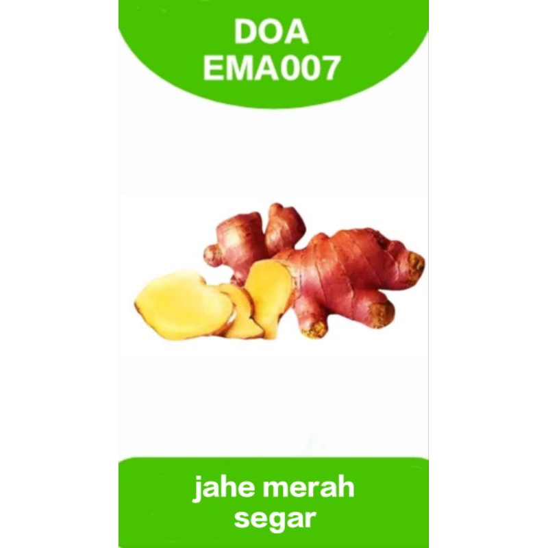 

jahe merah segar/jahe merah segar 500g