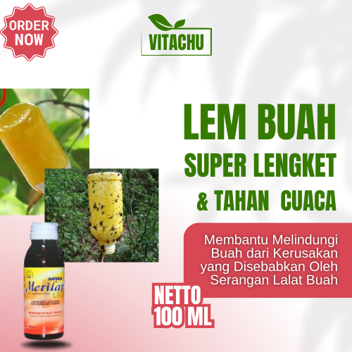 Lem Lalat Buah Cabe Lem Perekat Lalat Ampuh lem lalat buah Pembasmi Pengusir Hama Kualitas Super