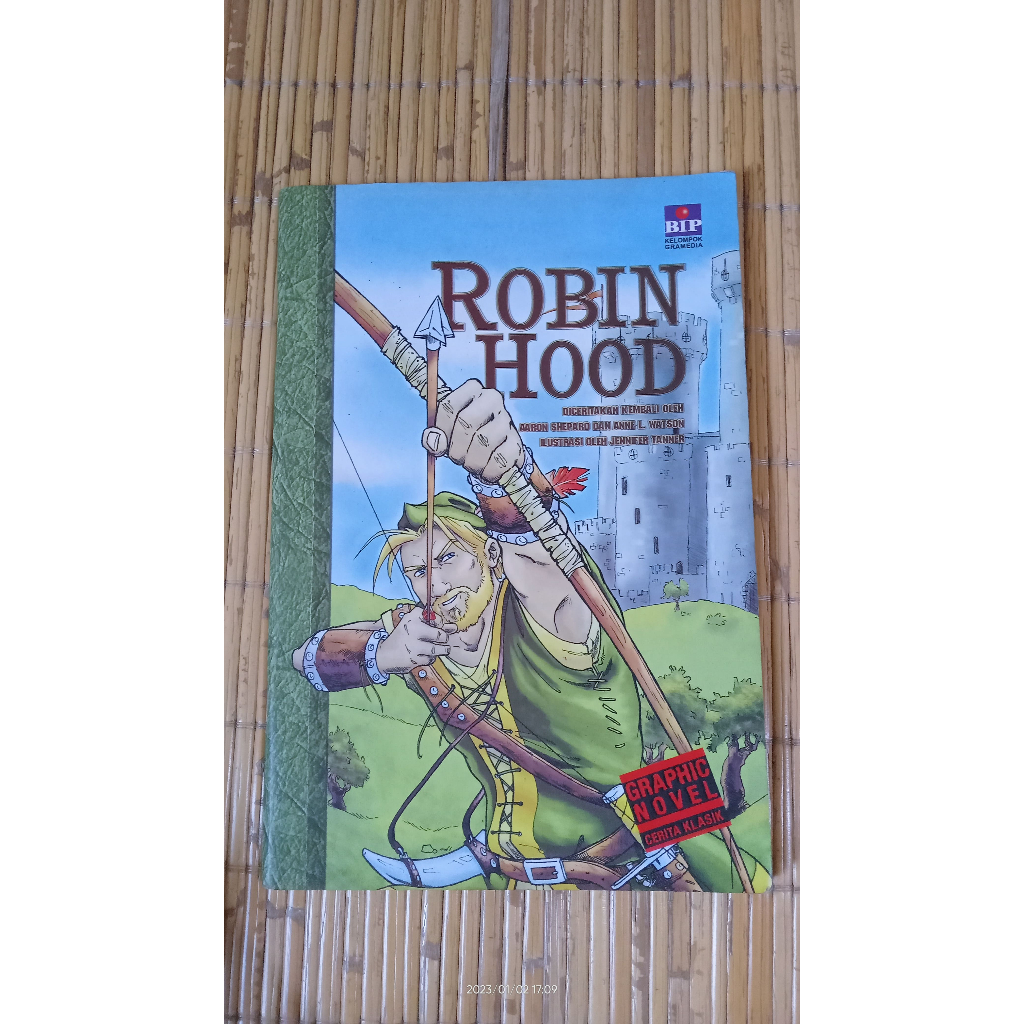 Graphic Novel Robin Hood