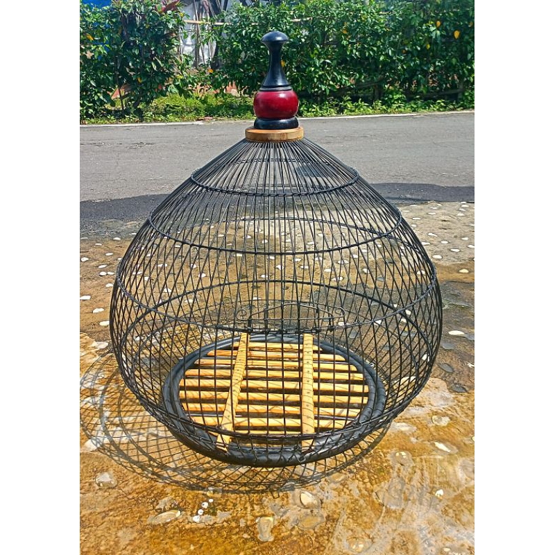 sangkar ayam hutan hijau standar jago XL kandang ayam hutan kandang ayam hutan kabel wifi sangkar wi