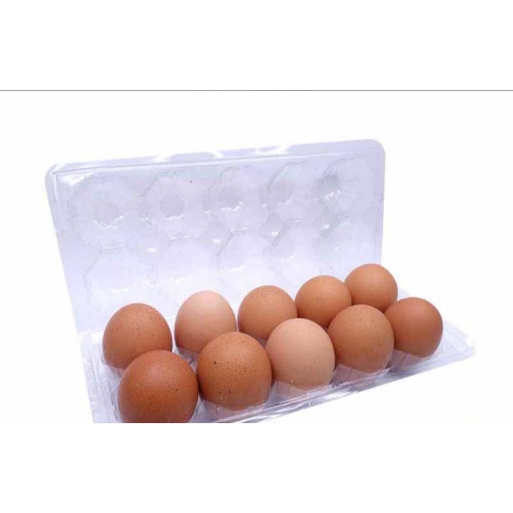 

Telur Ayam Negeri | Kualitas Bagus dan Bergizi|