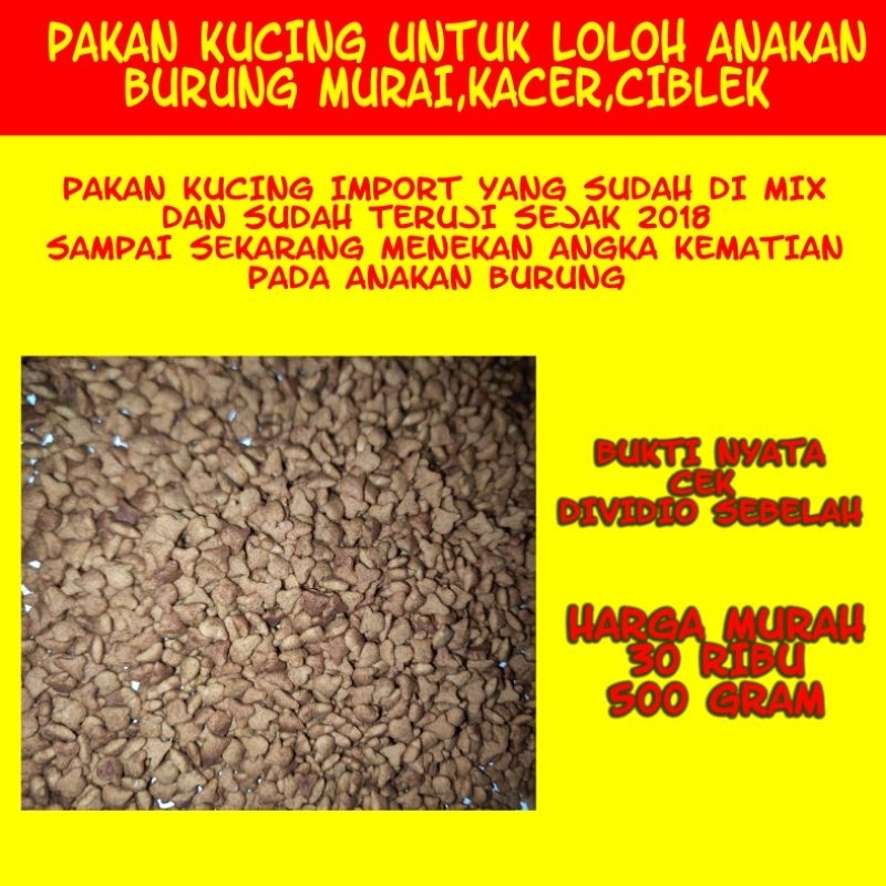 Pakan Lolohan Untuk Anakan Burung Murai Batu Kacer dan Anakan Burung Pemakan Serangga lainnya
