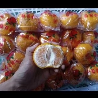 

Buah Jeruk Ponkam Curah Jual Per 1 BOK Krat