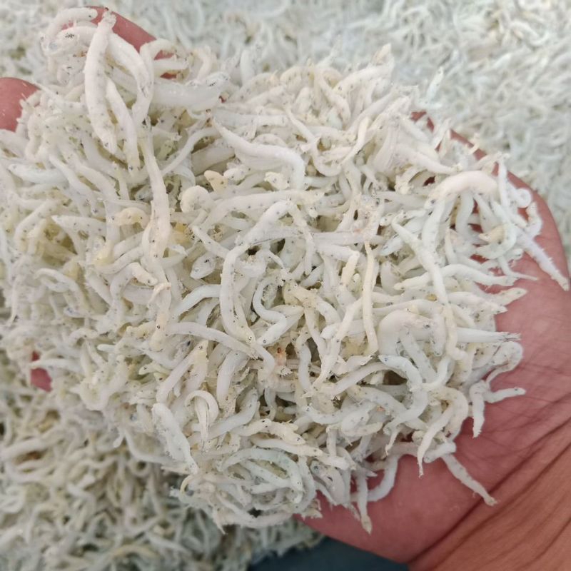 

iKan Asin TeriNasi Bintik Kasar 1 Kg Fresh