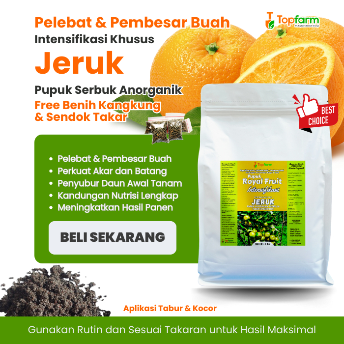 Pupuk Booster Jeruk Terbaik / Pupuk Tanaman Jeruk Cepat Berbuah / Pupuk Buah Lebat Jeruk Terbaik