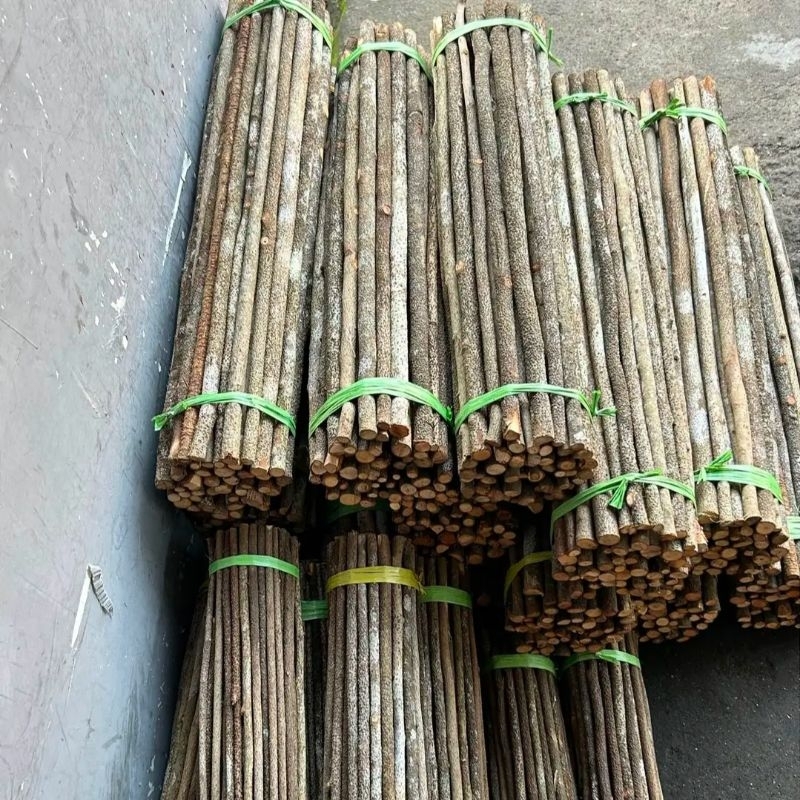 Tangkringan kayu asem Bali