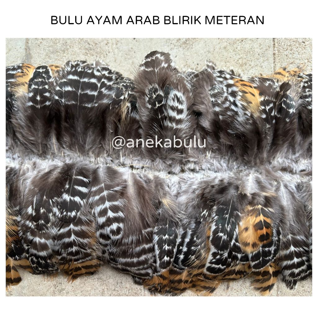 BULU AYAM ARAB BLIRIK ASLI RANGKAI 1 METER - BULU ULU AYAM PITIK BETINA MURAH BAHAN KEMOCENG PREMIUM