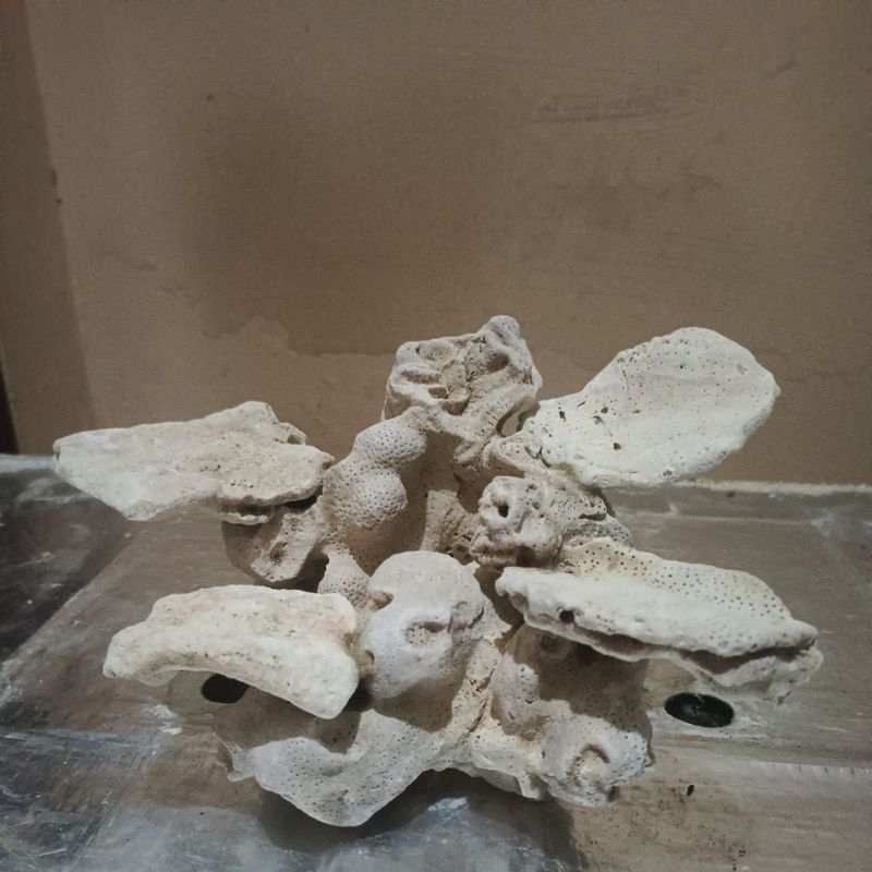 scaping deadrock hiasan aquarium reef tank