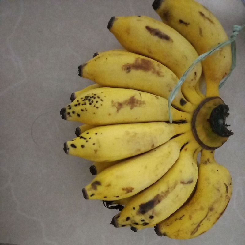 

PISANG SUSU 1 SISIR