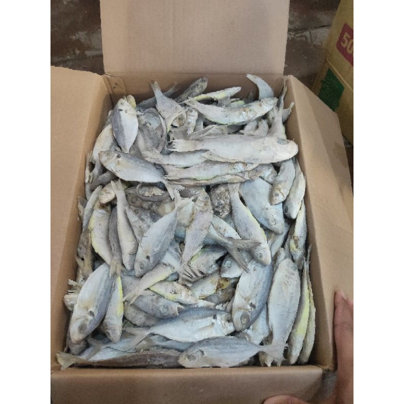 

IKAN ASIN CAMPUR / RANDOM KEMASAN 1KG