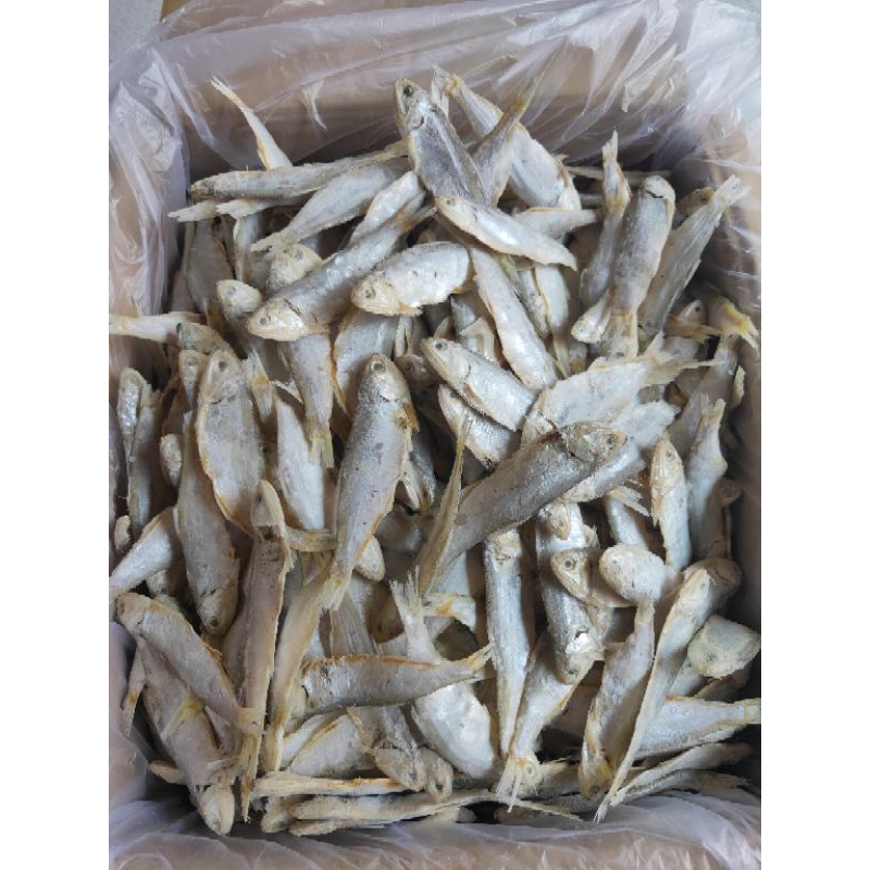 

IKAN ASIN BILIS KERING ISI 500GR MURAH KWALITAS