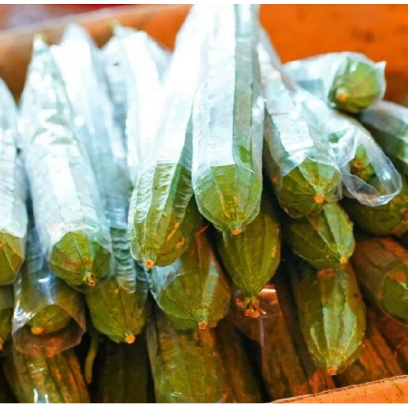 

{ 500 GRAM} Sayur oyong segar { 500 gram } - { 1 kg } oyong fresh