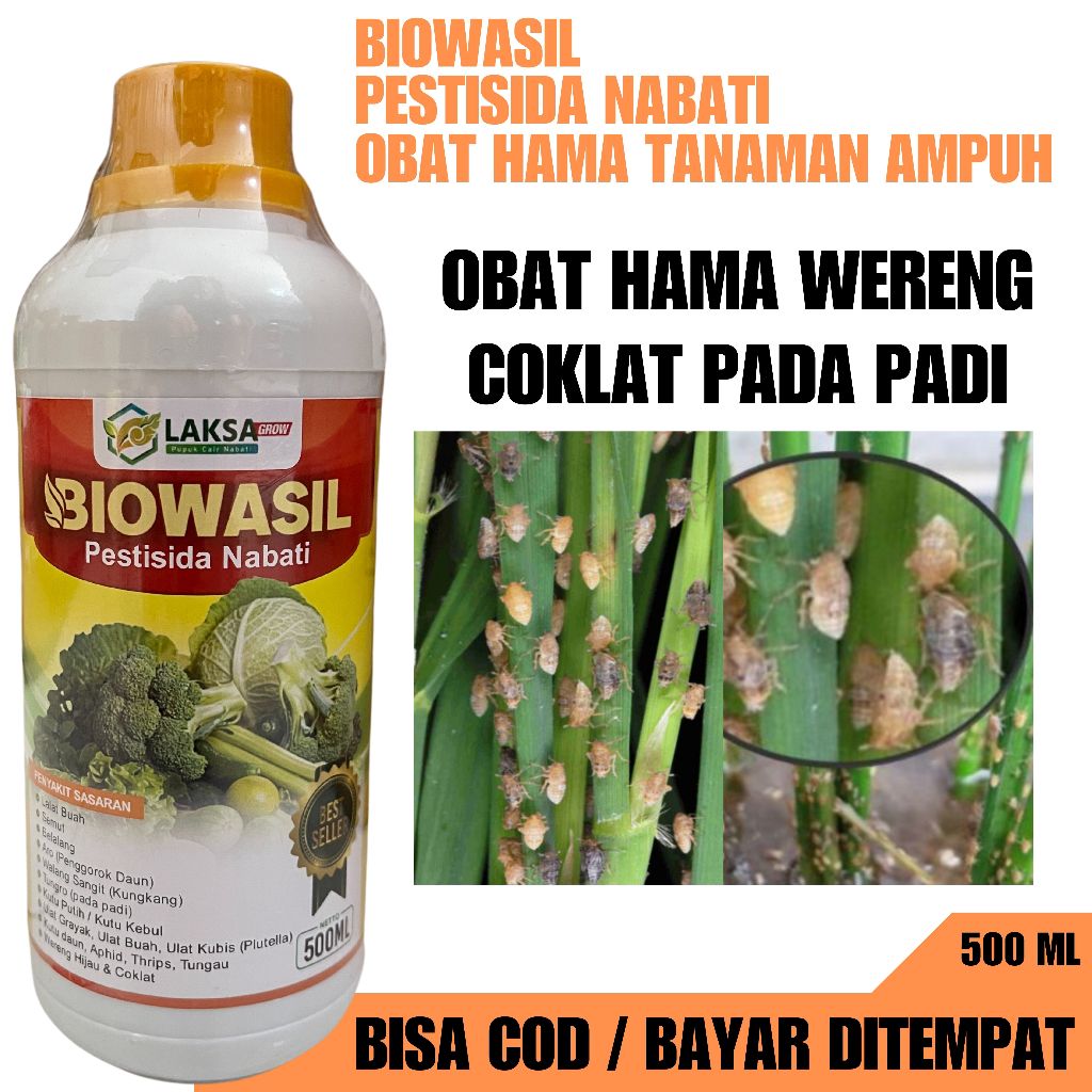 PESTISIDA NABATI BIOWASIL Obat Hama Wereng Padi Paling Ampuh - Obat Ampuh Basmi Hama Wereng