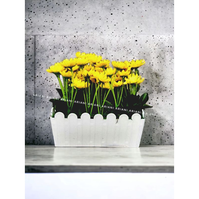 SET BUNGA MATAHARI KUNTUM DENGAN VAS PAGAR PLASTIK BESAR