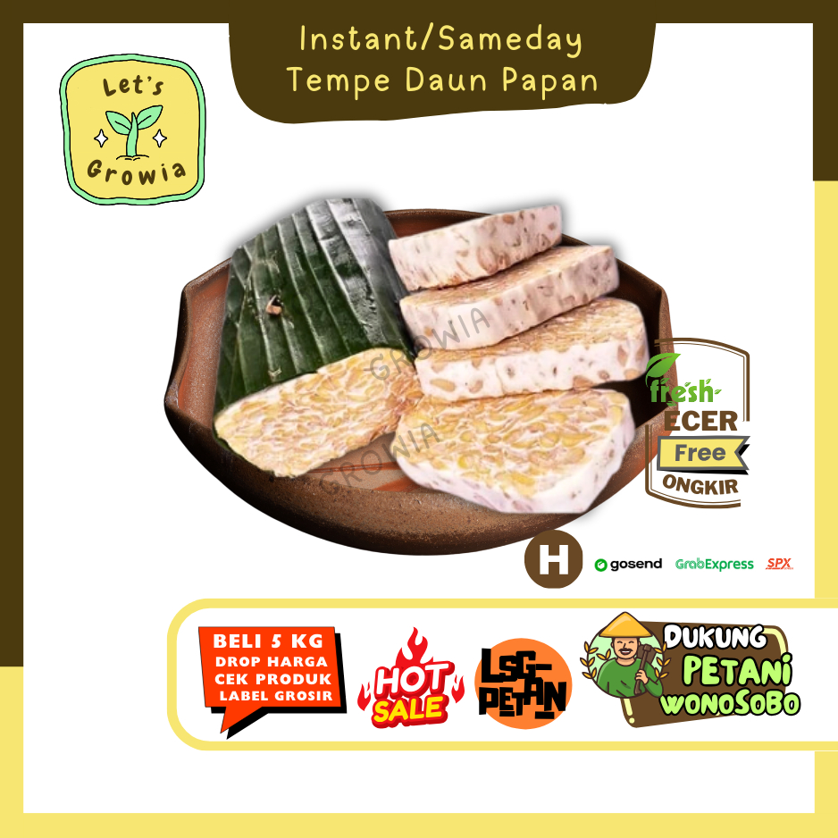 

Growia || Tempe Daun Papan -- Hasil Petani Langsung Ecer Sayur Gunung (H)