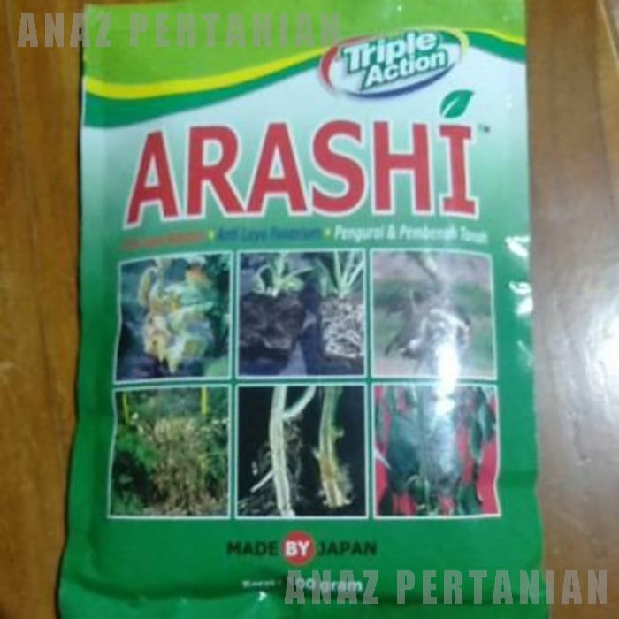 Fungi Arashi Bakterisida Anti Layu Fusarium Anti Bakteri Anti Layu Jamur Pengurai Pembenah Tanah