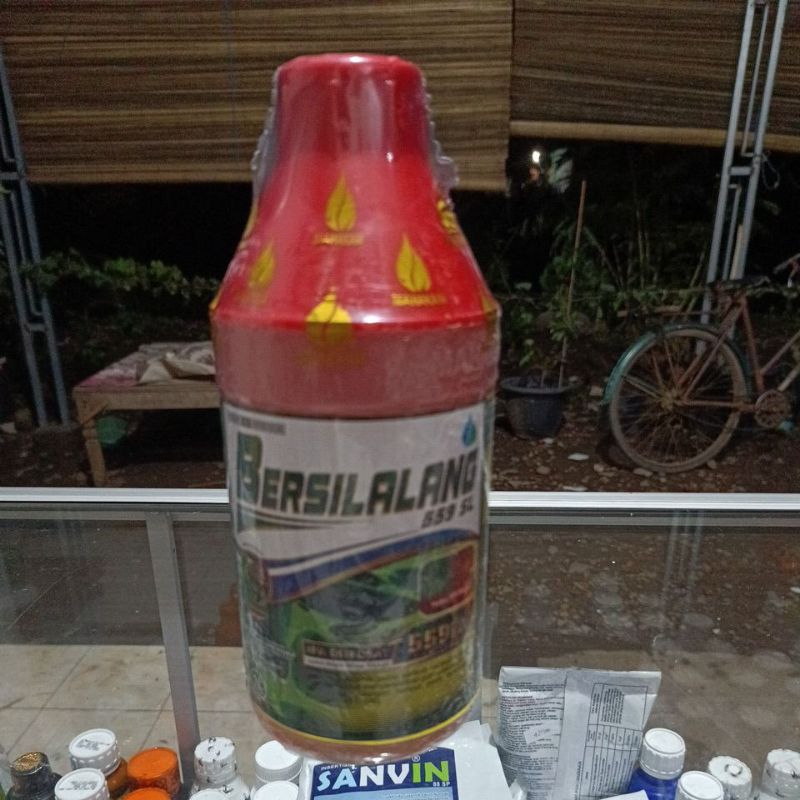 herbisida sistemik bersilalang