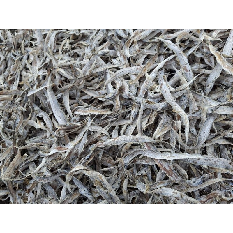 

Ikan Layur Tawar 1Kg Ecer/Grosir [Termurah]