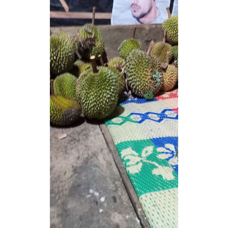 

durian Tukjarjit