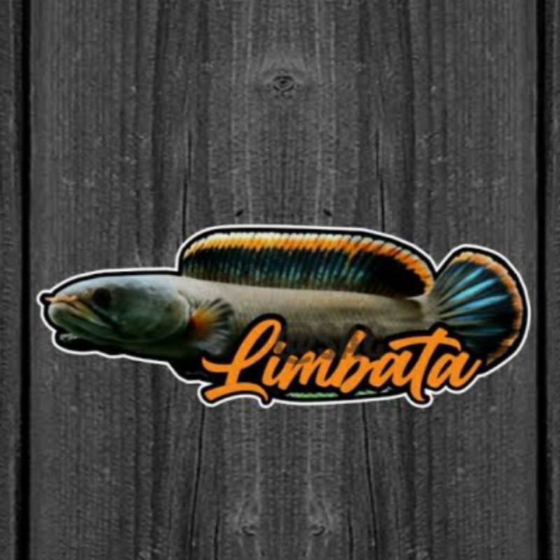 BOX LIMBATA PAIR