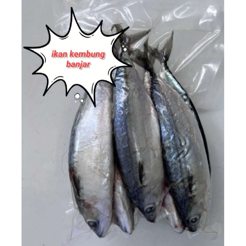 

ikan kembung banjar 1 kg