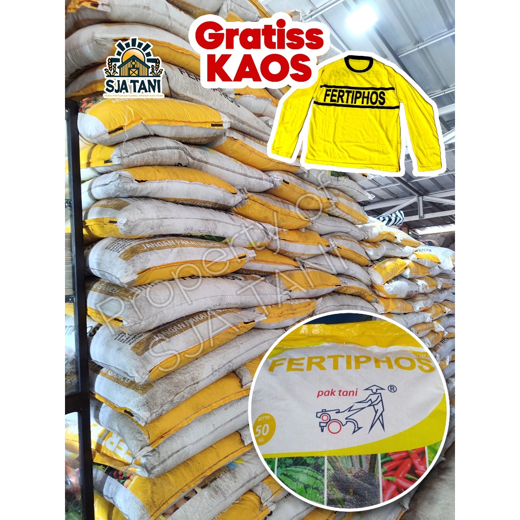 pupuk fosfat fertiphos 50kg