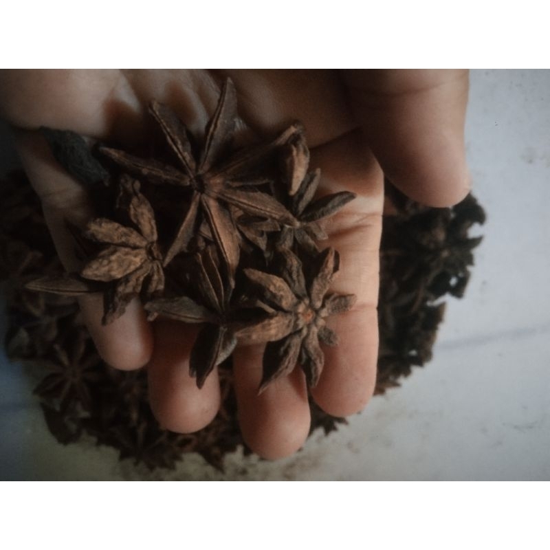 

Bunga lawang, pekak, star anise