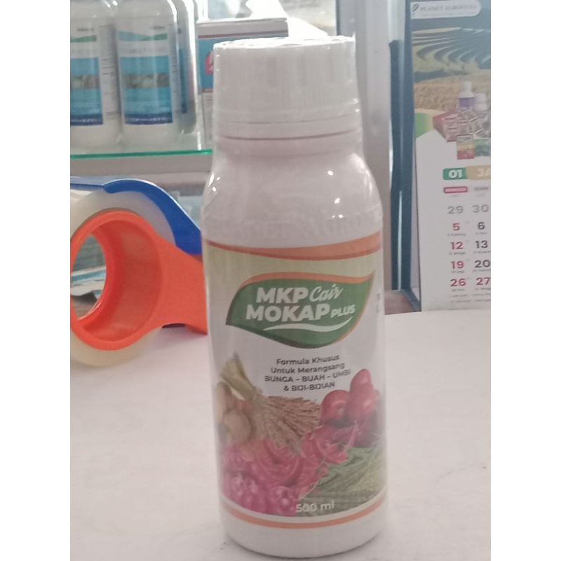 Pupuk MKP cair Mokap plus mencepatkan pembentukan bunga