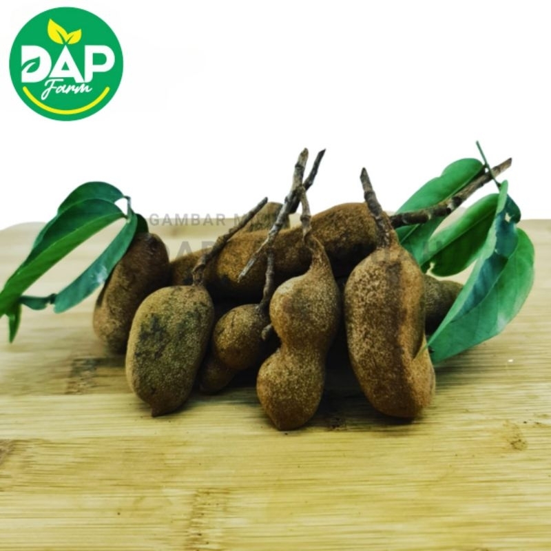 

Asam Mentah/DAP Farm/ Sayur Segar Jakarta