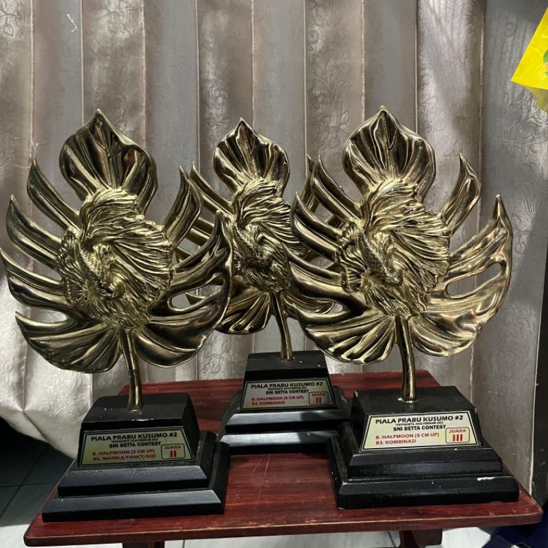 Piala Cupang Placing Prabu Kusumo Jogja