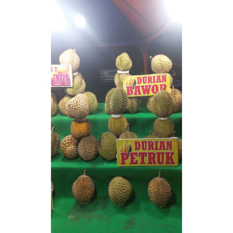 

DURIAN MUSANG KING