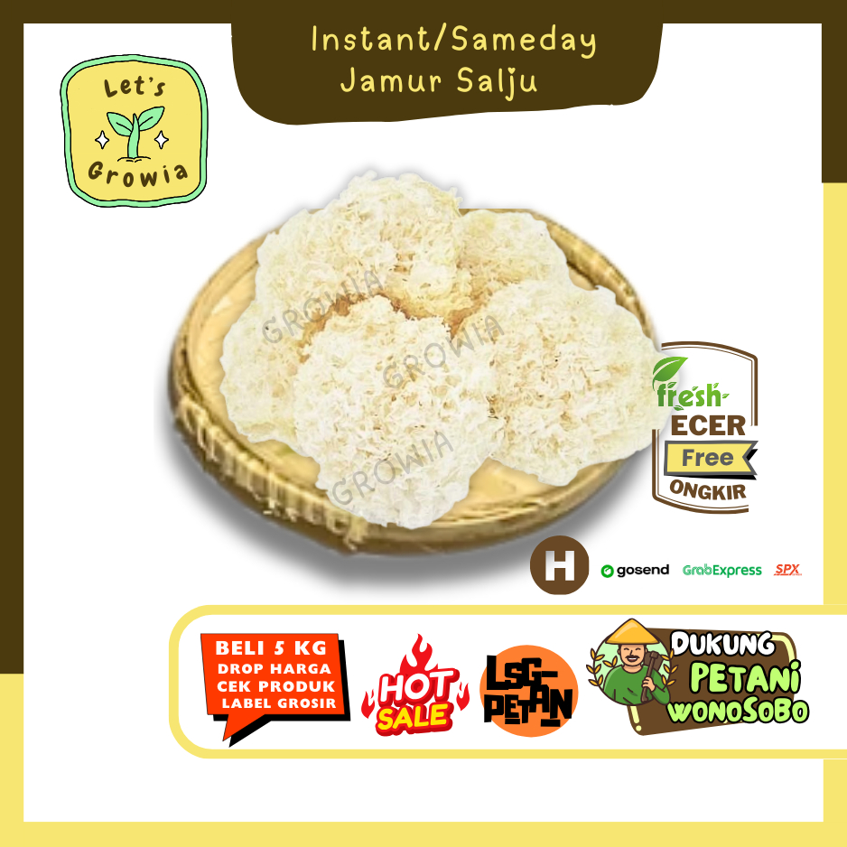 

Growia || Jamur Salju -- Hasil Petani Langsung Ecer Sayur Gunung (H)