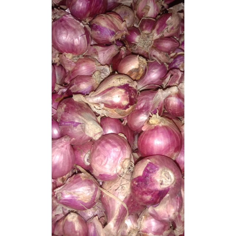 

bawang merah super kering 1kg