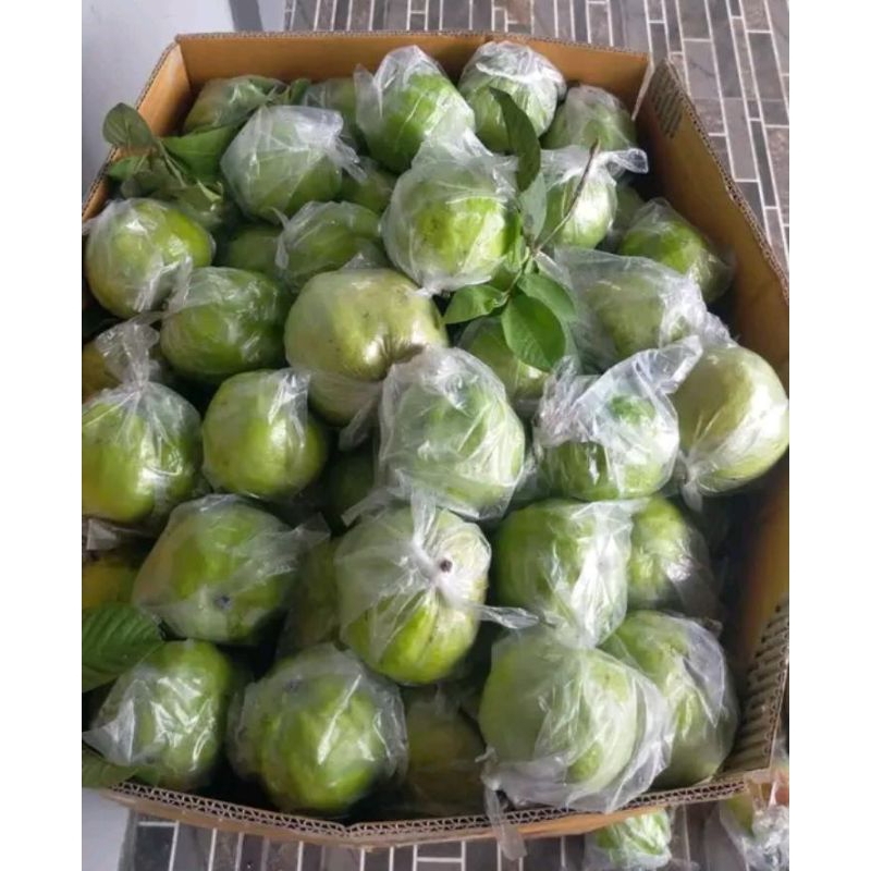

jambu kristal langsung petani