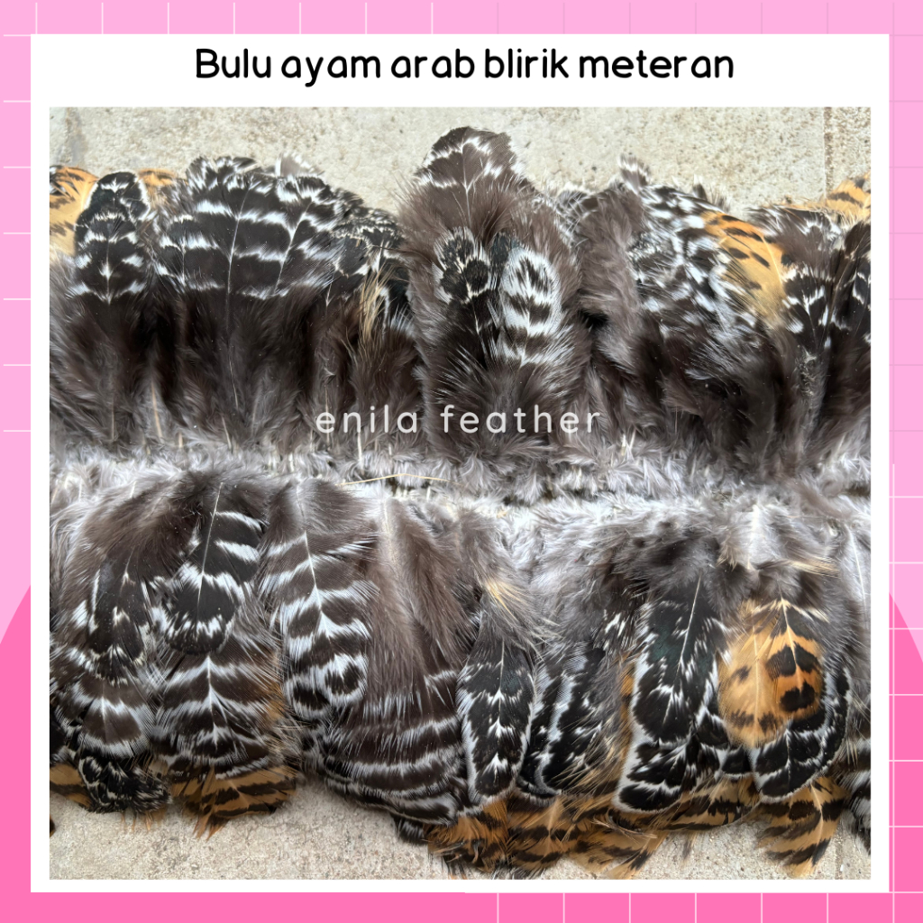 BULU AYAM ARAB BLIRIK ASLI METERAN RANGKAI BULU AYAM LURIK UNTUK AKSESORIS HIASAN KEPALA ADAT DAYAK