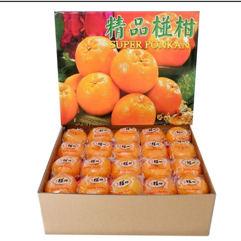 

CNY GIF BOX JERUK PONKAM ISI 40 BUAH