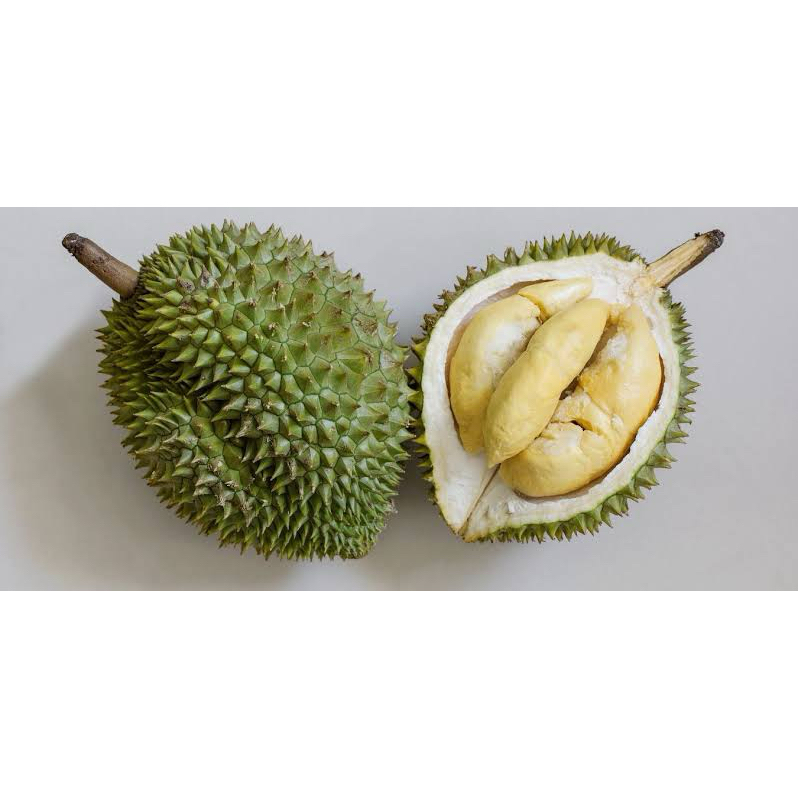 

durian mentega tanggung