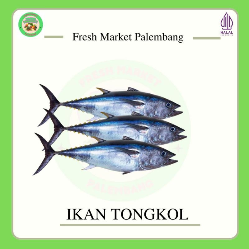 

Ikan Tongkol -Fresh Market Palembang-