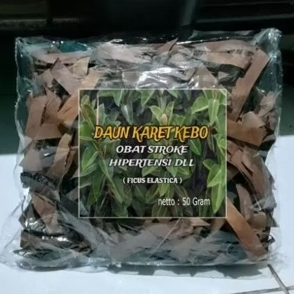 

Daun Karet Kebo Kering Obat Stroke Hipertensi Dll (Ficus Elastica) 50 Gram