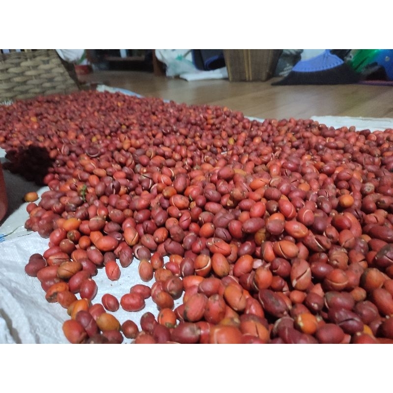 

HASIL BUMI PETANI PANGAN KULIT MELINJO 1 KG