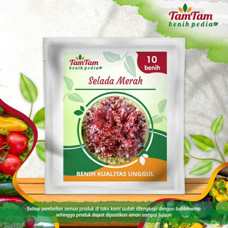 Benih Selada Merah Import (10biji)
