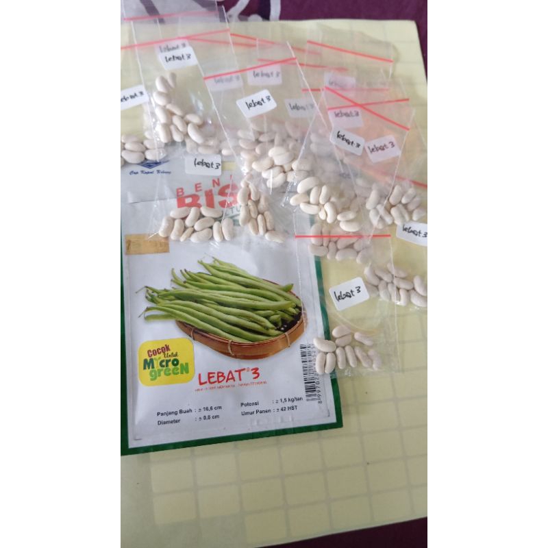 

biji buncis lebat 3 cap kapal terbang