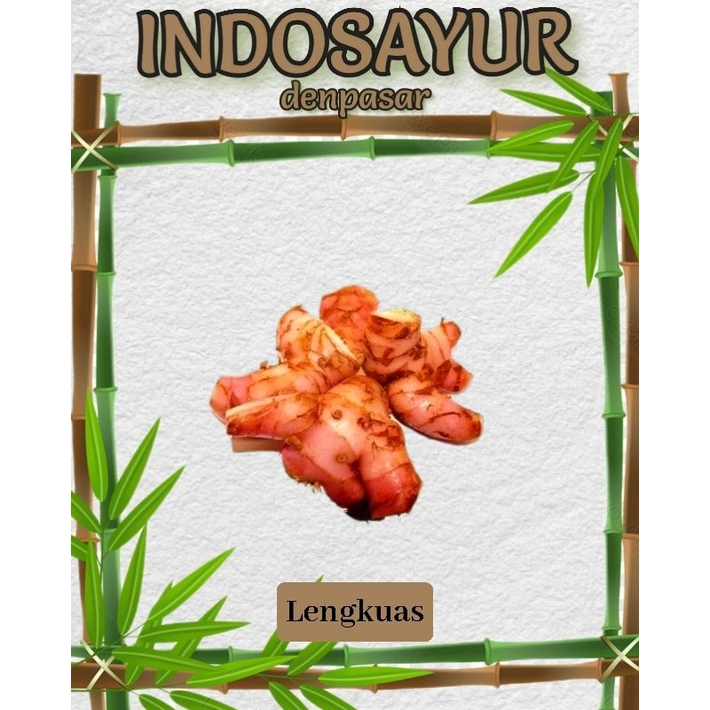 

Lengkuas/ Laos bali _ INDOSAYUR