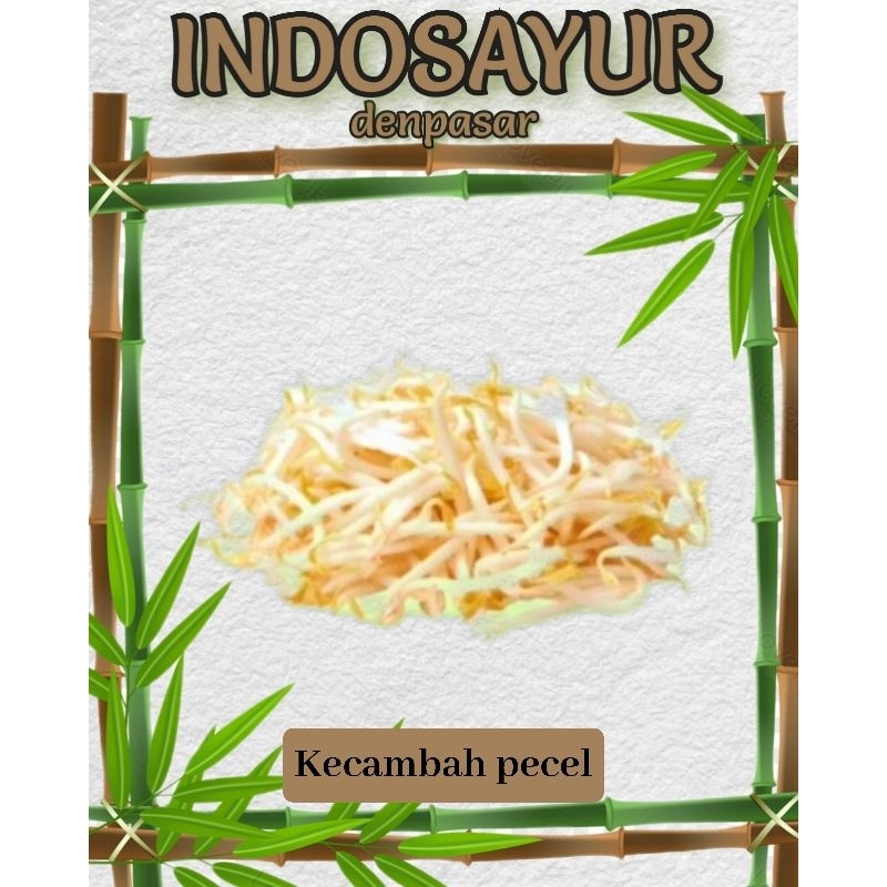 

Kecambah pecel _ INDOSAYUR