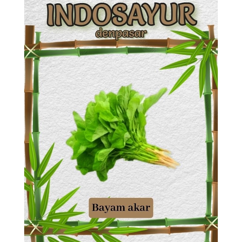 

Sayur Bayem akar _ INDOSAYUR