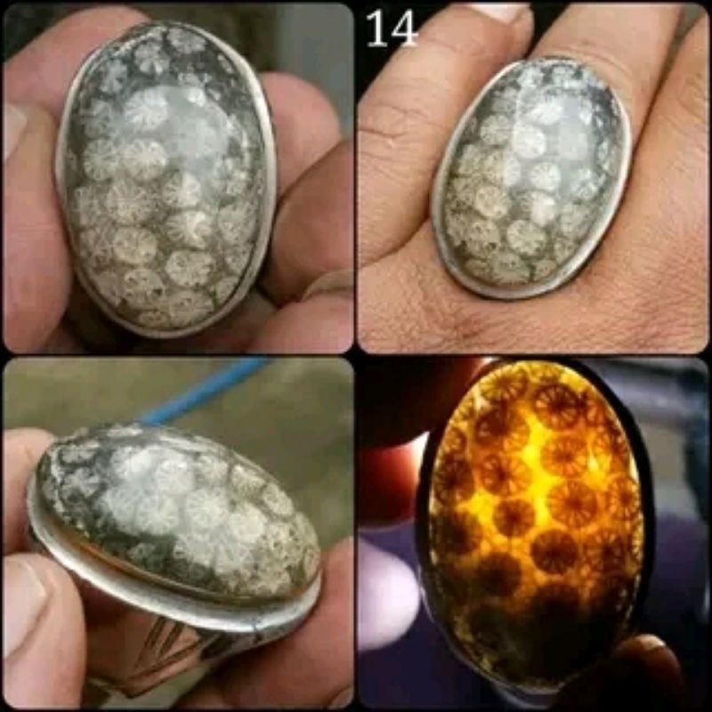 Natural Akik Teratai Hitam Jumbo - Black Fossilized Polip Coral - Black Lotus - NTD