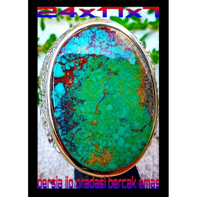 Pirus Persia lawasan A1 hijau gradasi urat emas