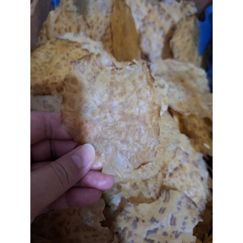 

emping jengkol mentah ukuran 100 gram